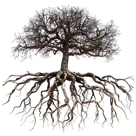 Figura 3. Inconștientul familial ne vorbește despre rădăcinile invizibile ale alegerilor noastre. Ce nu știm că purtăm cu noi din familie tinde să se repete.